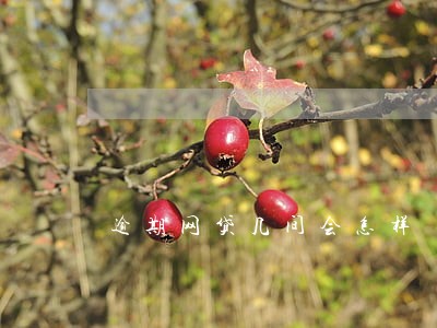 逾期网贷几间会怎样 逾期网贷几间会怎样