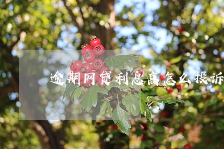 逾期网贷利息高怎么投诉 逾期网贷利息高怎么投诉