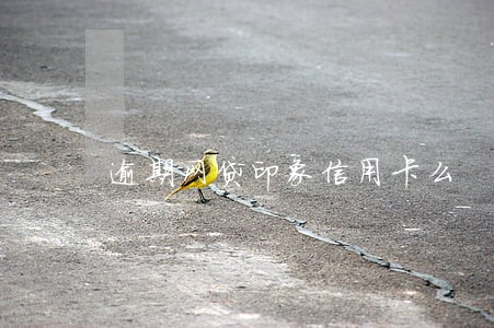 逾期网贷印象信用卡么 逾期网贷印象信用卡么