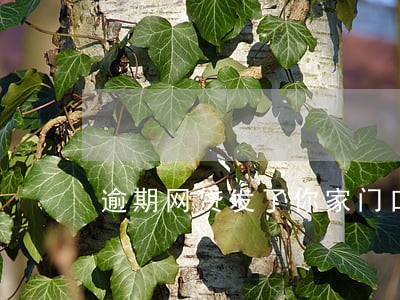 逾期网贷发了你家门口照片 逾期网贷发了你家门口照片