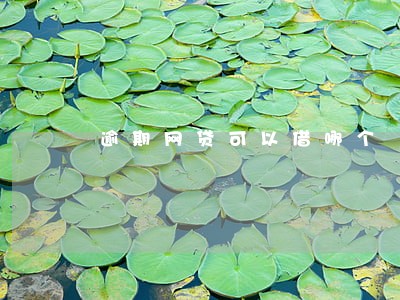 逾期网贷可以借哪个 逾期网贷可以借哪个