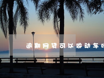 逾期网贷可以做动车吗 逾期网贷可以做动车吗