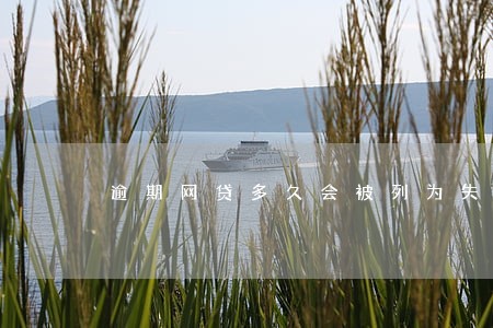 逾期网贷多久会被列为失信人员 逾期网贷多久会被列为失信人员