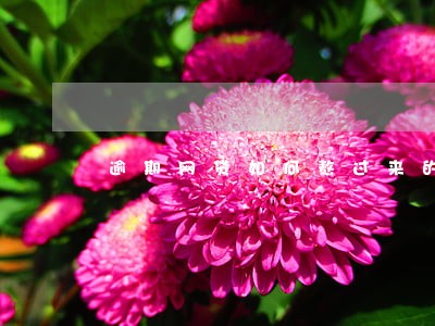 逾期网贷如何熬过来的 逾期网贷如何熬过来的