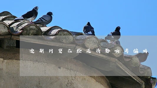 逾期网贷已经还清影响考编吗 逾期网贷已经还清影响考编吗