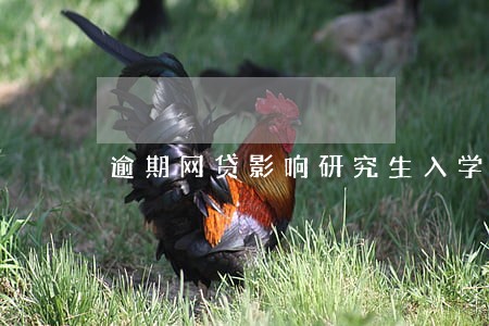 逾期网贷影响研究生入学吗 逾期网贷影响研究生入学吗