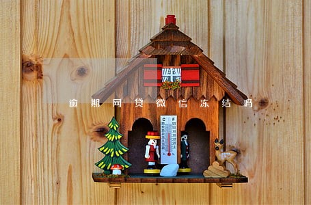 逾期网贷微信冻结吗
