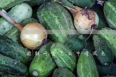 逾期网贷怎么申请减免 逾期网贷怎么申请减免