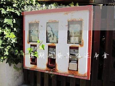 逾期网贷怎么还本金 逾期网贷怎么还本金