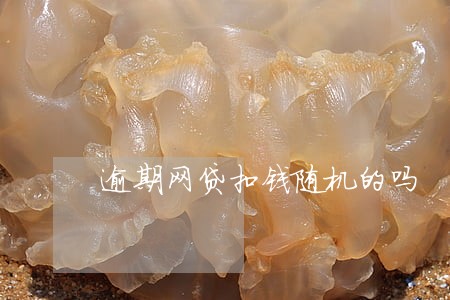 逾期网贷扣钱随机的吗