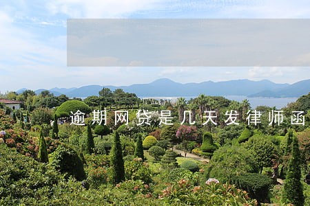 逾期网贷是几天发律师函 逾期网贷是几天发律师函