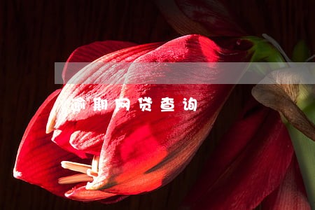 逾期网贷查询 逾期网贷查询