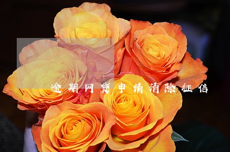 逾期网贷申请清除征信 逾期网贷申请清除征信