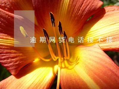 逾期网贷电话接不接 逾期网贷电话接不接