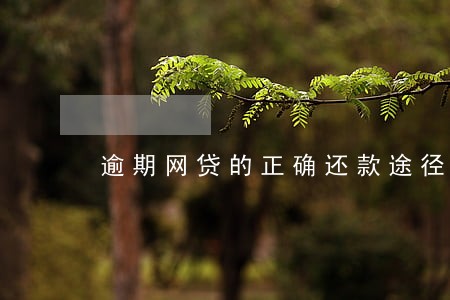 逾期网贷的正确还款途径 逾期网贷的正确还款途径