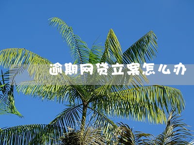 逾期网贷立案怎么办 逾期网贷立案怎么办