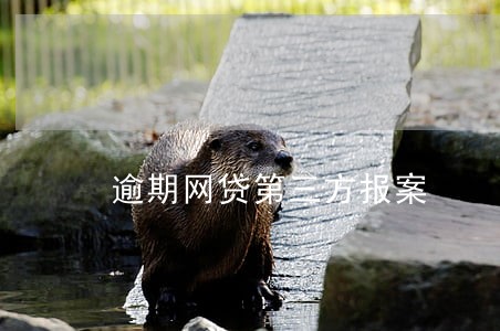 逾期网贷第三方报案