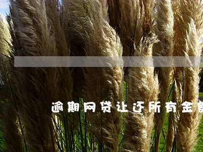 逾期网贷让还所有金额 逾期网贷让还所有金额