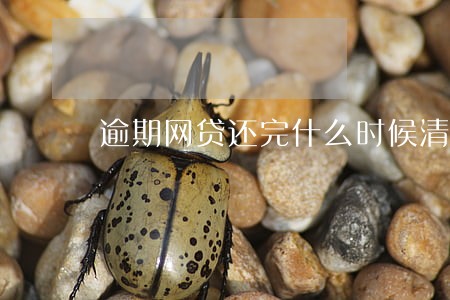 逾期网贷还完什么时候清除 逾期网贷还完什么时候清除