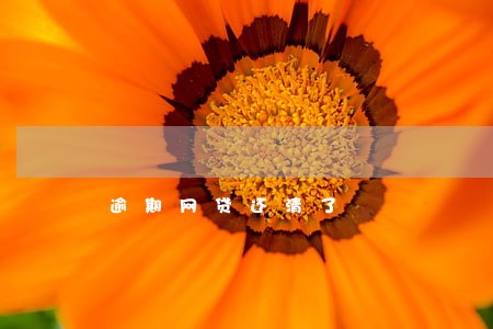 逾期网贷还清了 逾期网贷还清了
