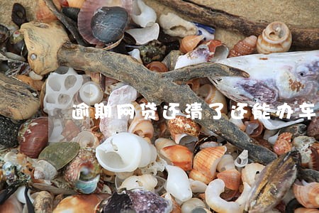 逾期网贷还清了还能办车贷吗 逾期网贷还清了还能办车贷吗