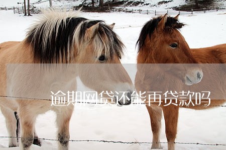 逾期网贷还能再贷款吗 逾期网贷还能再贷款吗
