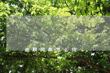 逾期网黑怎么贷 逾期网黑怎么贷
