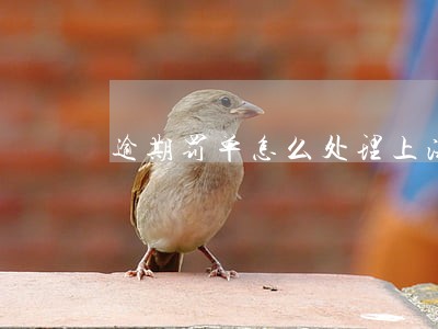 逾期罚单怎么处理上海 逾期罚单怎么处理上海