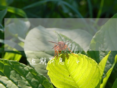 逾期罚息14 逾期罚息14