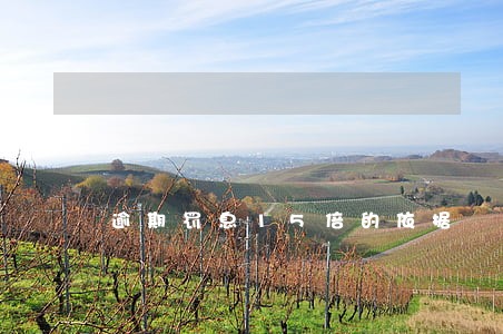 逾期罚息15倍的依据 逾期罚息15倍的依据