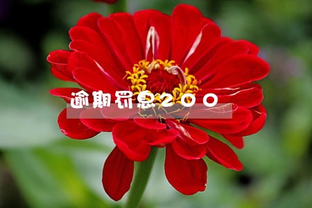 逾期罚息200 逾期罚息200