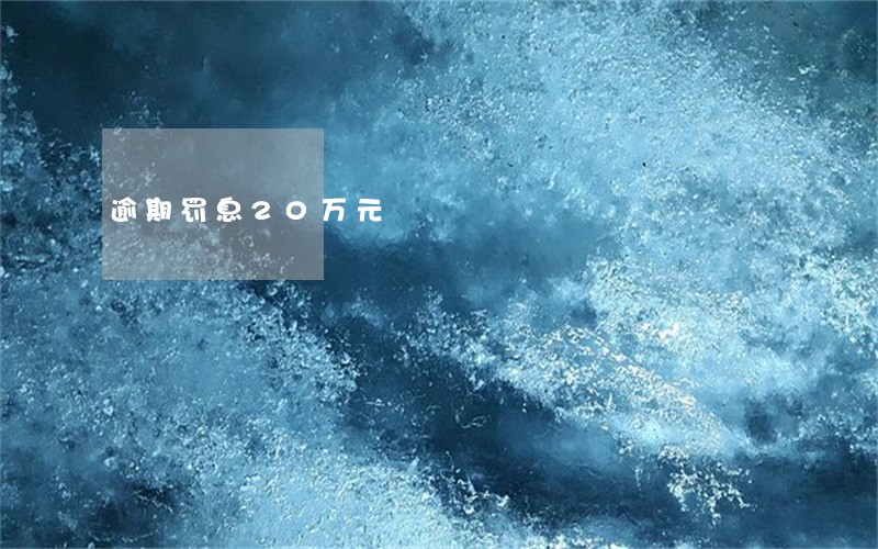 逾期罚息20万元 逾期罚息20万元