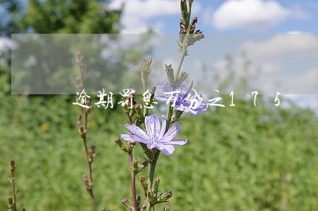 逾期罚息万分之175 逾期罚息万分之175
