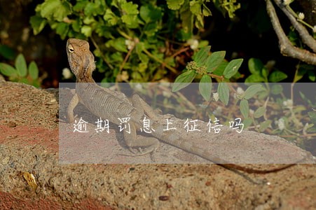 逾期罚息上征信吗 逾期罚息上征信吗