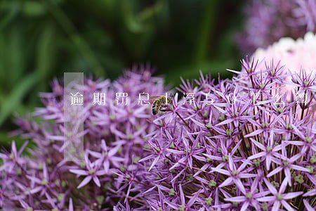 逾期罚息上浮50怎么算 逾期罚息上浮50怎么算