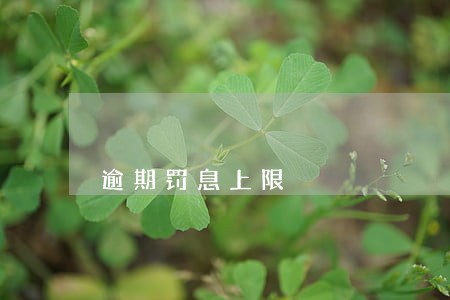 逾期罚息上限 逾期罚息上限