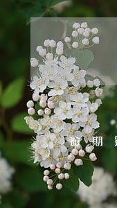 逾期罚息不上征信 逾期罚息不上征信