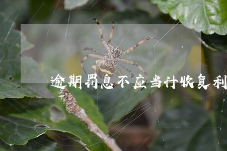 逾期罚息不应当计收复利 逾期罚息不应当计收复利