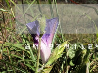 逾期罚息不得计收复利 逾期罚息不得计收复利