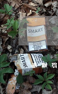 逾期罚息与违约金的标准 逾期罚息与违约金的标准