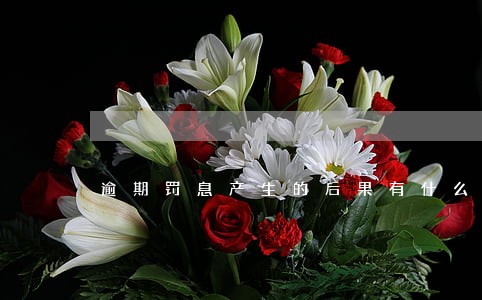 逾期罚息产生的后果有什么 逾期罚息产生的后果有什么