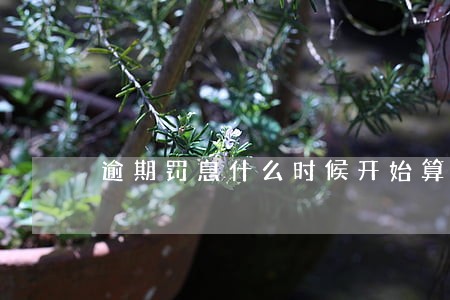 逾期罚息什么时候开始算 逾期罚息什么时候开始算