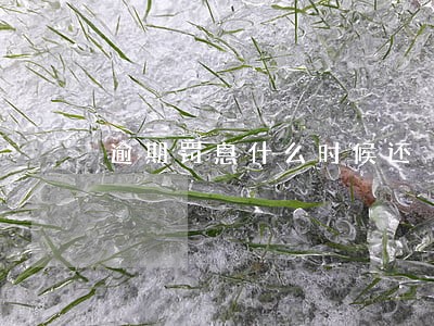 逾期罚息什么时候还 逾期罚息什么时候还