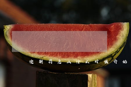 逾期罚息从什么时候开始计算 逾期罚息从什么时候开始计算
