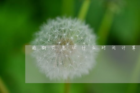逾期罚息从什么时间计算 逾期罚息从什么时间计算