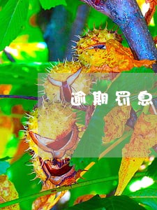 逾期罚息从什么时间计算器 逾期罚息从什么时间计算器
