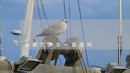 逾期罚息会一直涨吗 逾期罚息会一直涨吗