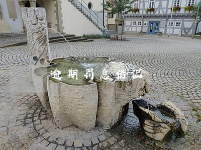 逾期罚息借记