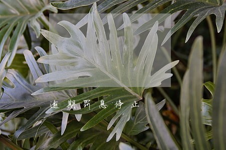 逾期罚息停止 逾期罚息停止