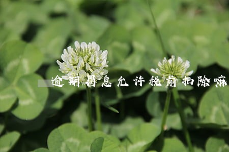 逾期罚息允许税前扣除嘛 逾期罚息允许税前扣除嘛